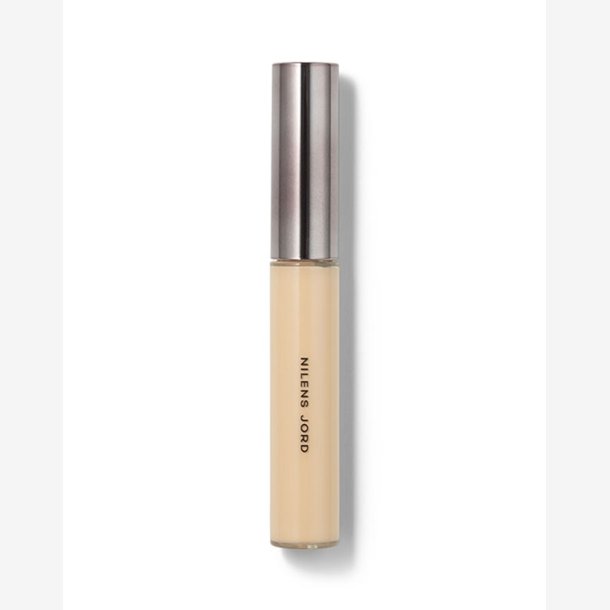 Silky Skin Concealer